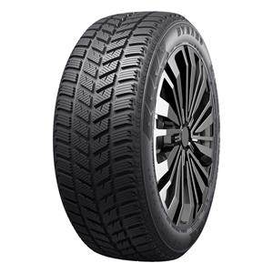175/70R13 DYNAMO SNOW-H MSL01 86TXL